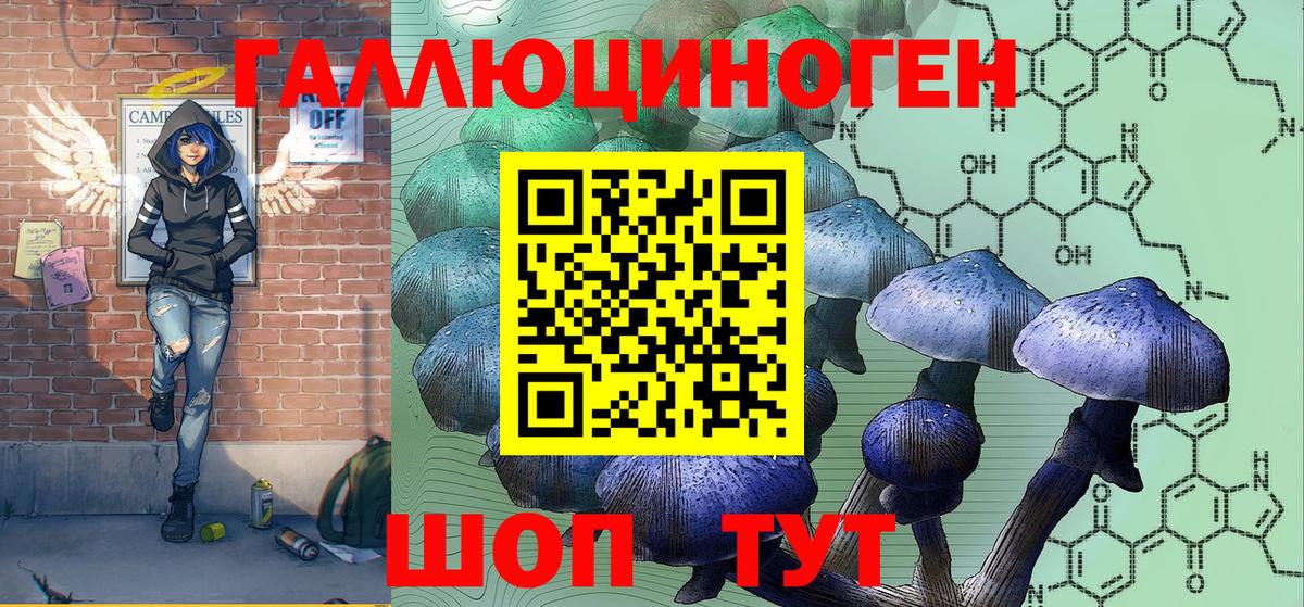 Галлюциногенные грибы Psilocybine cubensis  Вход с VPN  где продают   Углич 